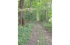 Property photo 5 - 160 Acres Offered in 6 Tracts